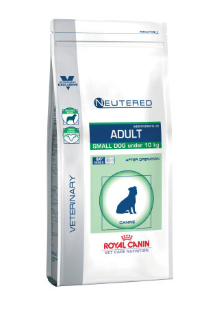 Neutered adult small dog